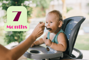 7 month feeding schedule