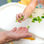 transitioning from purees to solids