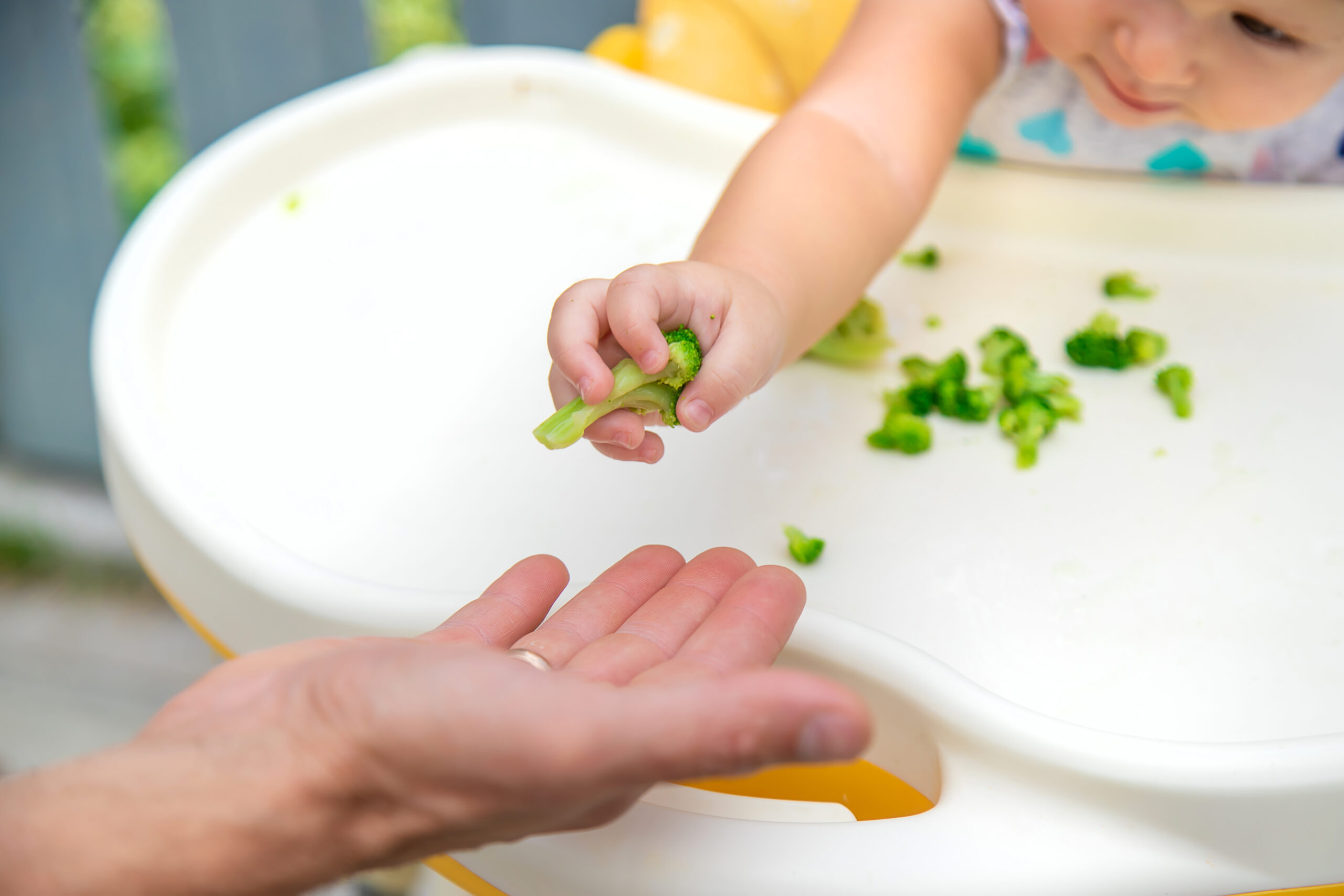 transitioning from purees to solids