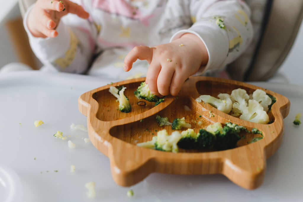 how to transition from purees to solids